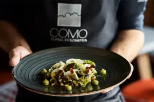 Close-up of a gourmet dish with fresh ingredients artistically plated, presented by a chef wearing a COMO Alpina Dolomites apron.