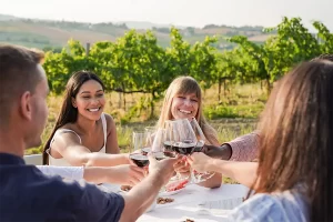 Group of friends toasting with red wine at an outdoor vineyard table, smiling and enjoying the sunny countryside.