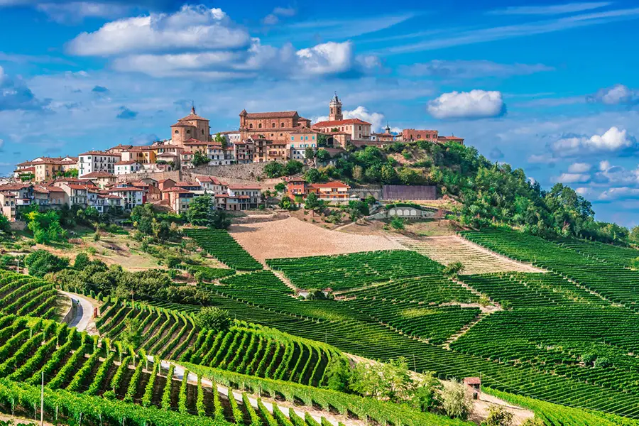 Panoramic view of Lake Como from Pigra with mountains in the background and a tree in the foreground